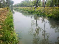 -东郊湿地公园