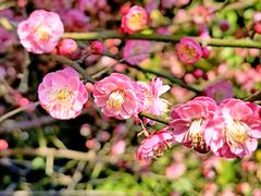 -上海市静安区闸北中心医院