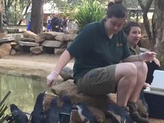 -费瑟代尔野生动物园