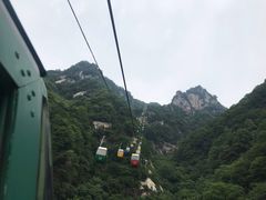 -王顺山国家森林公园