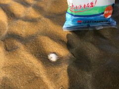 -日照海滨国家森林公园