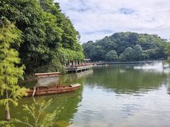 -广州市帽峰山景区
