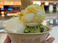-极拉图·现制冰淇淋(梅溪湖新天地步步高店)