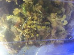 五香手撕烤兔-鸿运兔·手撕烤兔(天府广场店)