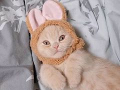 -中医药大学-第2食堂