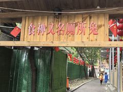 -食神又名厕所兔