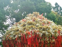 -狼山风景名胜区