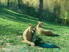 -北京野生动物园
