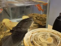 -咪咕咖啡(北京西单店)