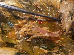 -爷爷的草帽·海鲜馆(孙塘路店)