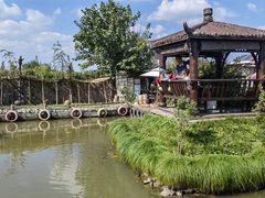 -樂桃源奉贤黄桃种植采摘基地