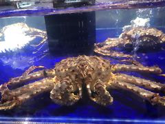 -盒马鲜生(新都心店)