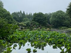 -杭州植物园