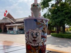 -七彩云南欢乐世界