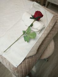 -比华利美容医院