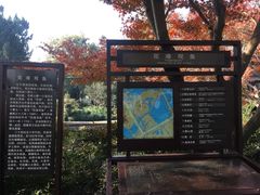 -西湖外事游船(花港观鱼码头)