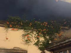 -文儒九号·闽菜馆(三坊七巷店)