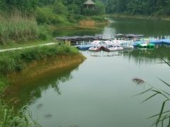 android_upload_pic-千岛湖龙川湾
