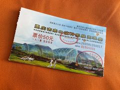 -南山植物园
