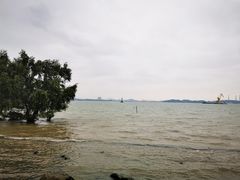 -滨海公园