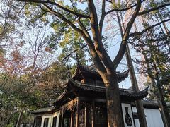 -汇龙潭
