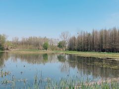 -溱湖国家湿地公园