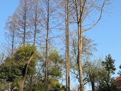 -上海孙中山故居纪念馆
