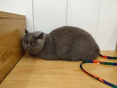 -GOOD好事咖啡(会展城店)