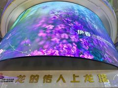 -龙塔