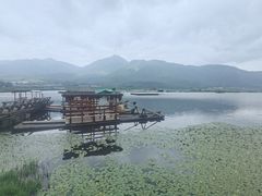 -腾冲北海湿地