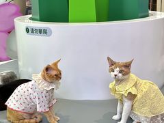-PO PARK东方宝泰