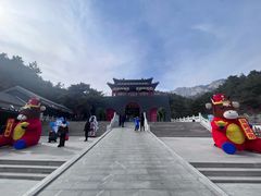 -大芦花风景区
