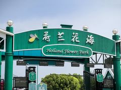 -荷兰花海