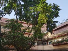 -深圳市福田区外国语小学(景秀校区)