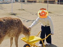 -盈香心动乐园