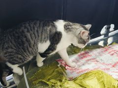 -蓝天射箭馆·专业射箭运动(诚丰广场店)