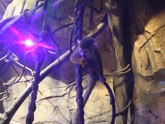 -波塞冬旅游度假区