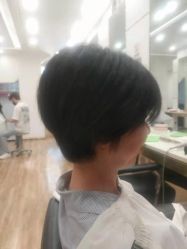 -YESIDO椰岛造型