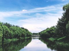 -东郊湿地公园