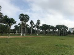 -万绿园