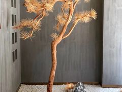 -春熙台韩国料理·章鱼肥牛(西丽店)