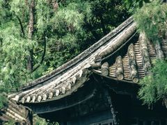 -顺峰山公园