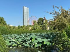 -成都南湖公园