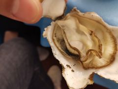 -千岛蚝高压锅生蚝·人参火锅(白云万达店)