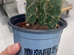 -鹿岛生活(熙地港店)