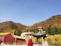 -遵化市禅林寺古银杏风景园