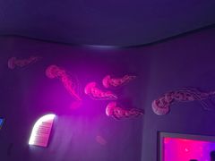 -福州罗源湾海洋世界旅游区