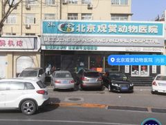 -北京观赏动物医院·24小时大型综合·猫专科·异宠专科