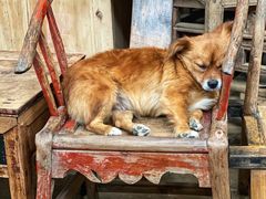 -亮佳鸿华二手市场