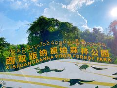 -西双版纳原始森林公园